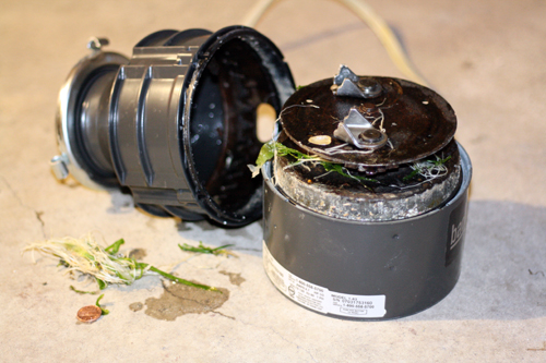 Broken Garbage Disposal Image